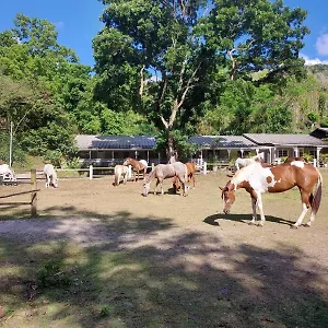 Hébergement de vacances Ranch Black Horse, Les Trois-Ilets